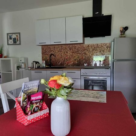 Apartmaji Ribic Ljubno Extérieur photo