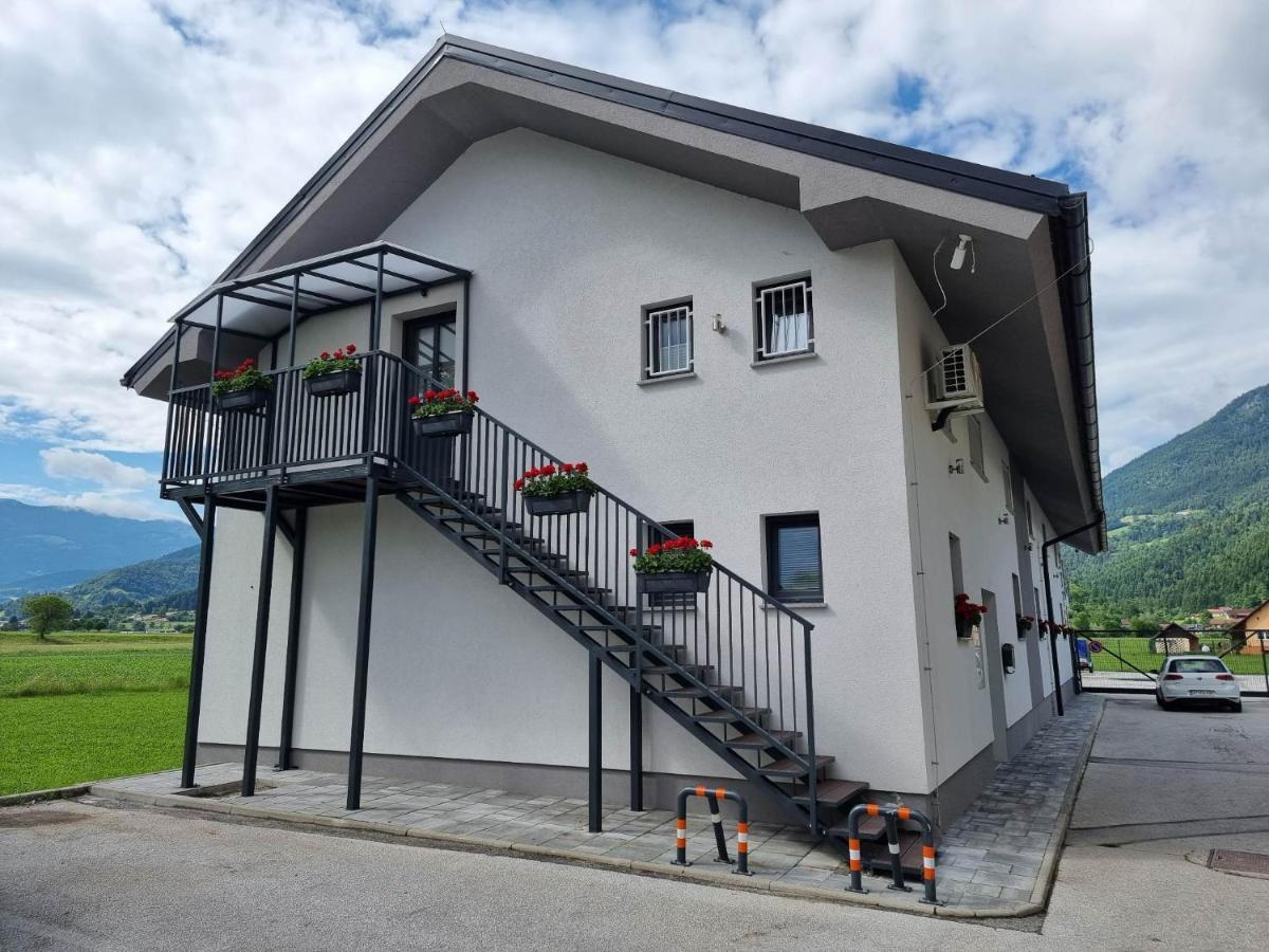 Apartmaji Ribic Ljubno Extérieur photo
