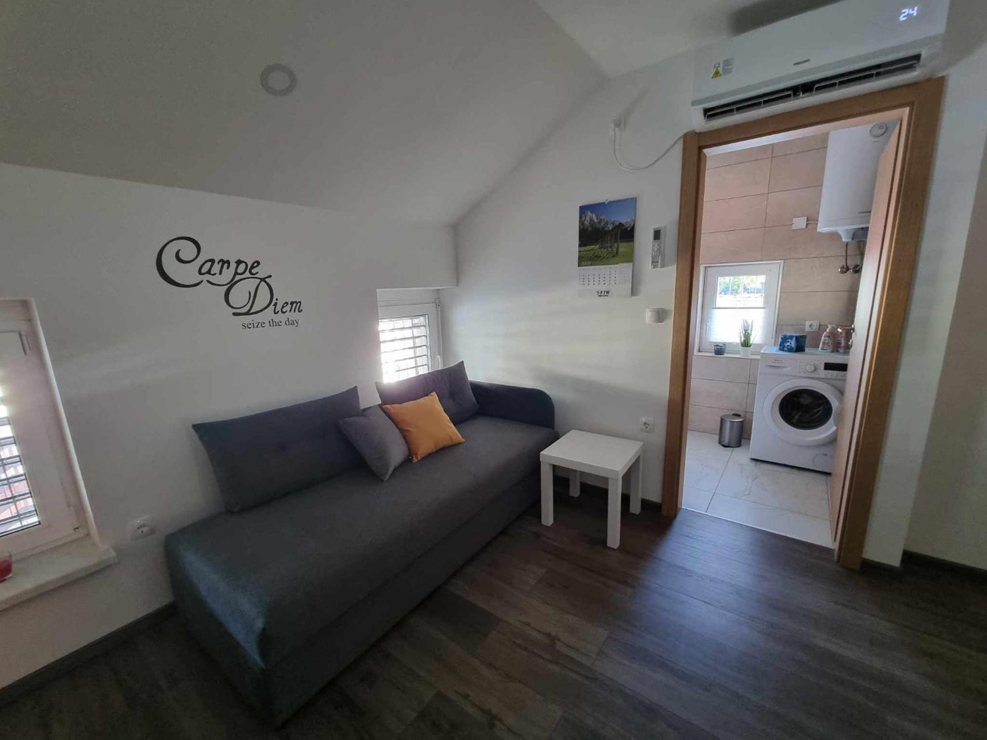 Apartmaji Ribic Ljubno Extérieur photo