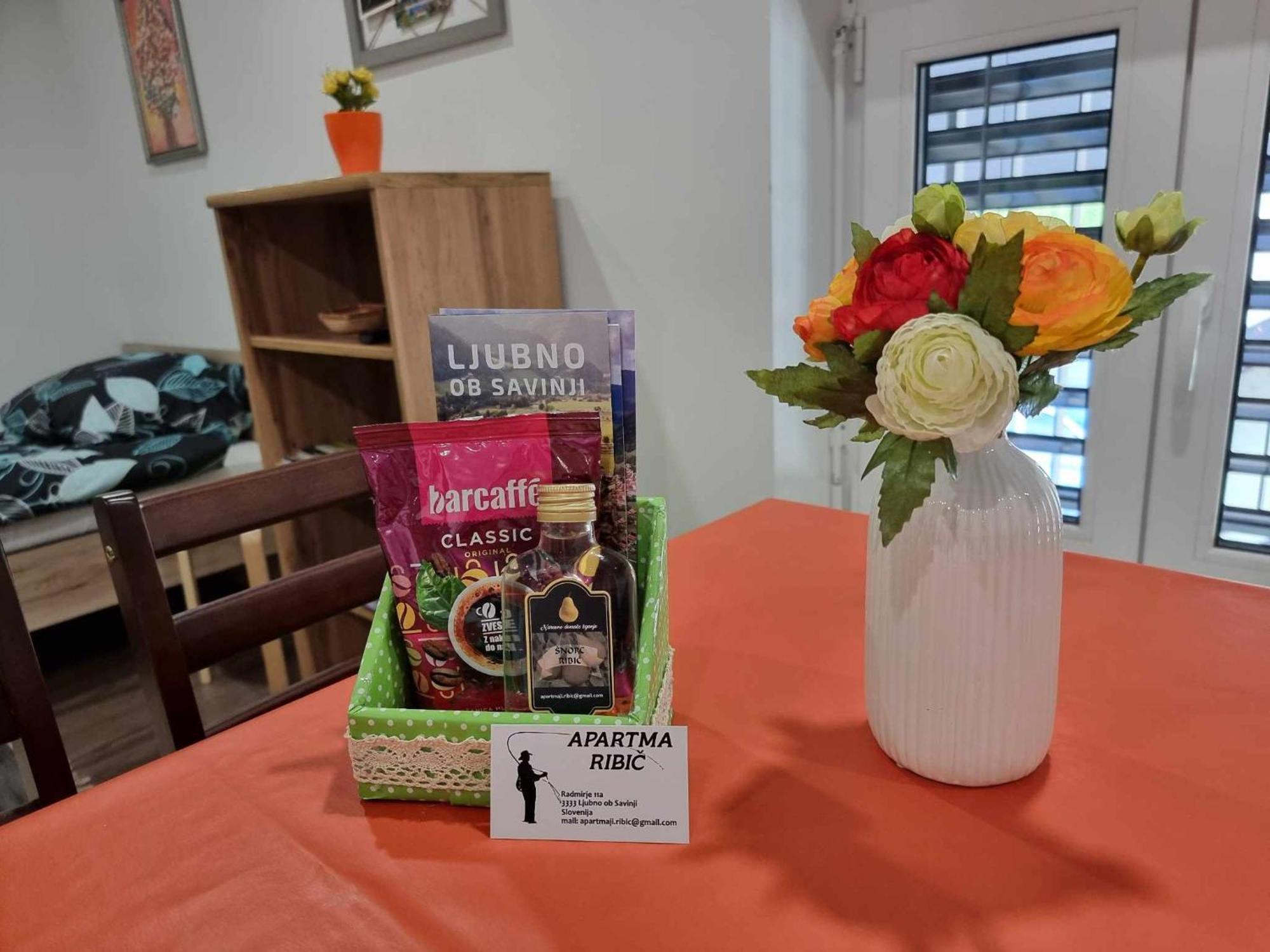 Apartmaji Ribic Ljubno Extérieur photo
